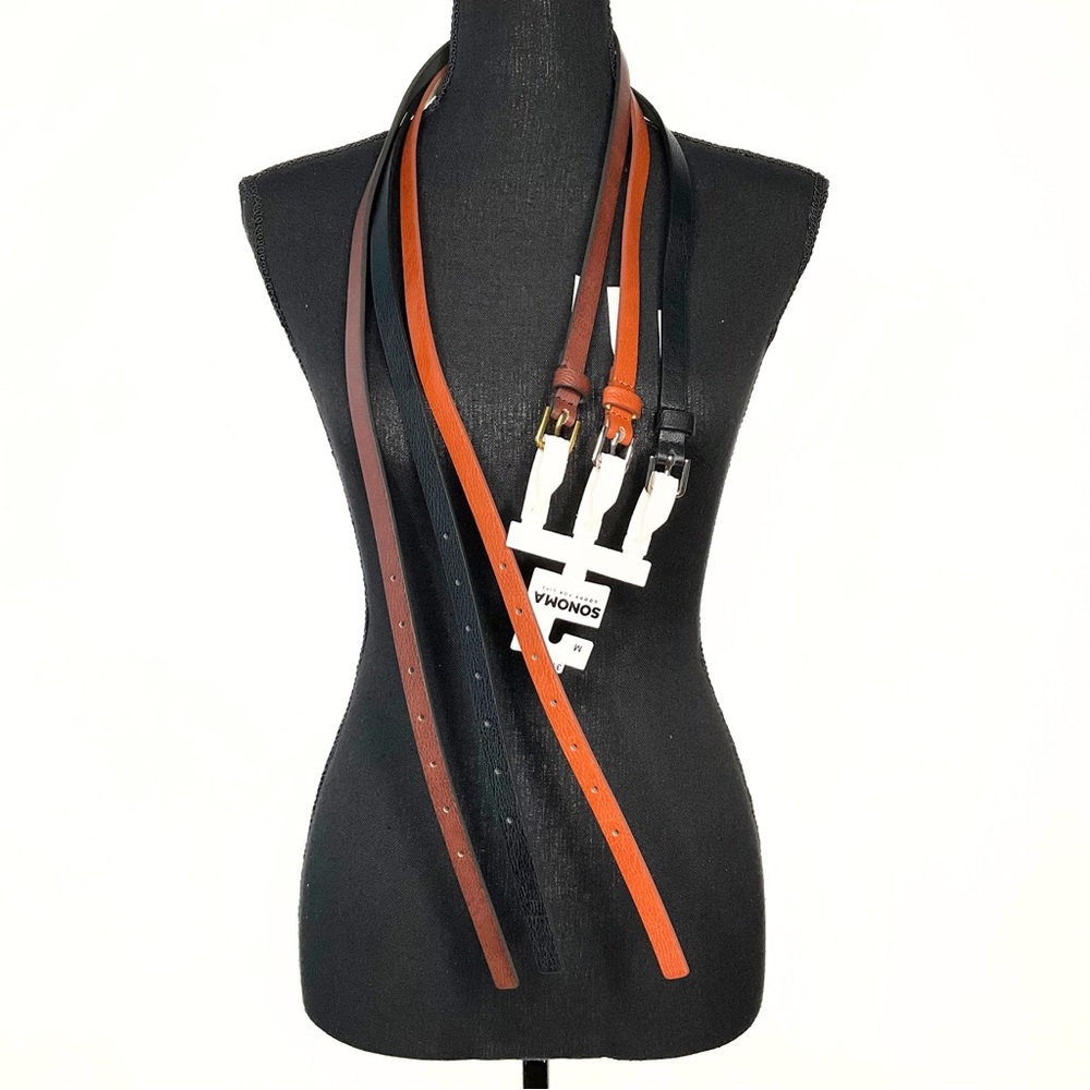 Sonoma 3PC Brown Black Belt Womens SZ M Timelist Minamalist Capsule Wardrobe